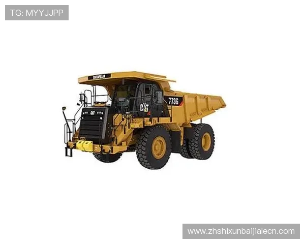 极速百家家乐app下载官网官方推荐，优质游戏环境保障玩家安全与公平竞争